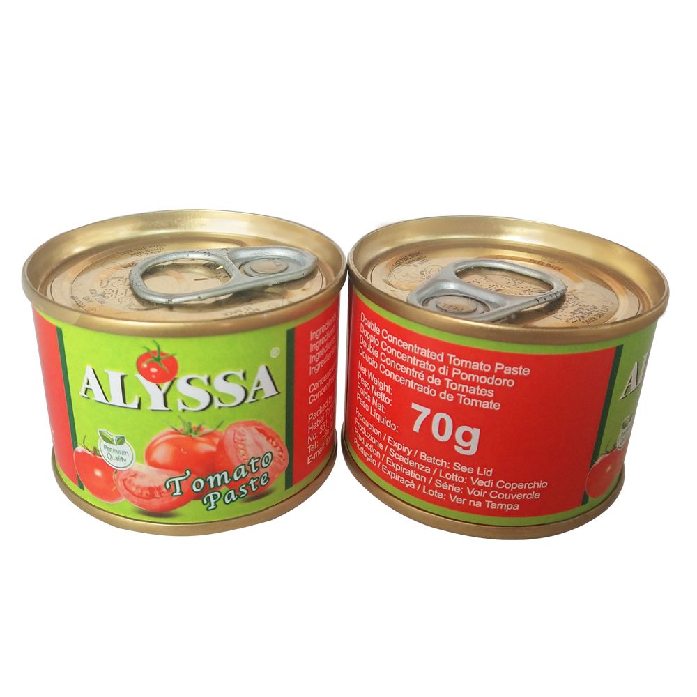 Canned 70g Tomato Paste for Africa Market