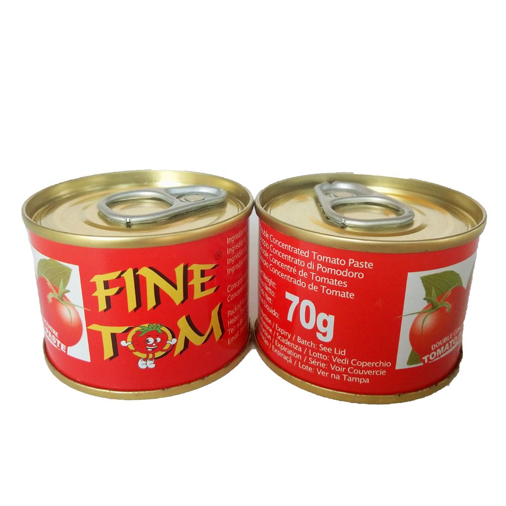 Canned 70g Tomato Paste for Africa Market