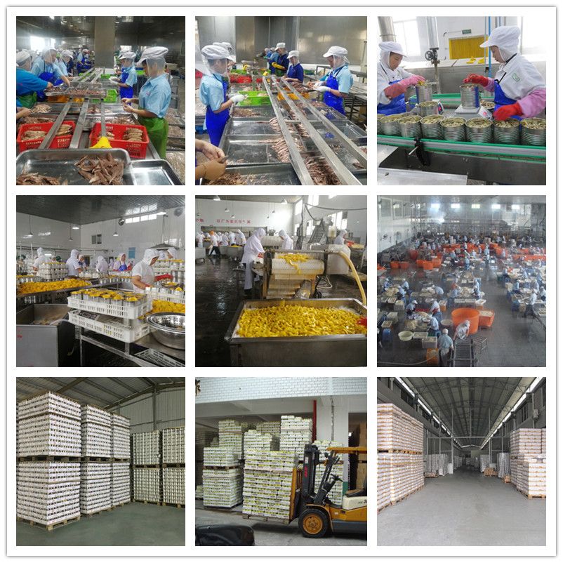 Canned Bean Sprout in Glass Jar Fresh Canned Vegetable Food