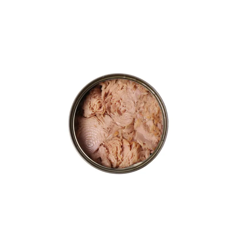 Canned Fish Canned Tuna Chunk in Oil 170g