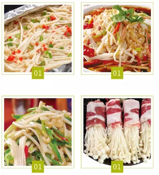 Canned Healthy Enoki Mushroom White Needle Mushrooms