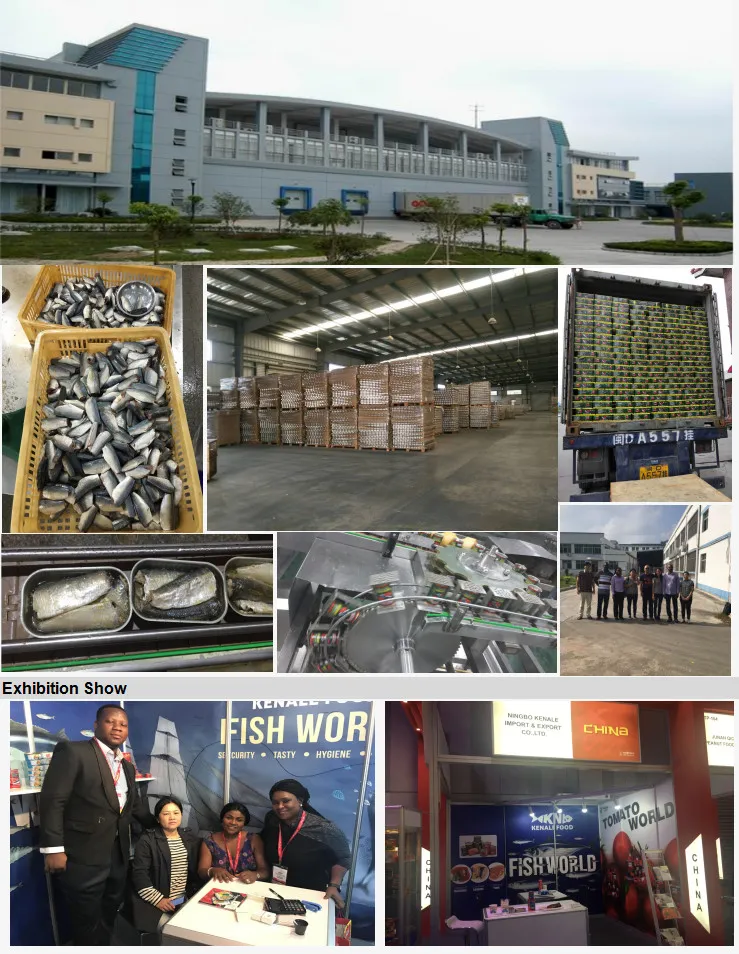 Canned Sardine Pilchard in Tomato Sauce Factory