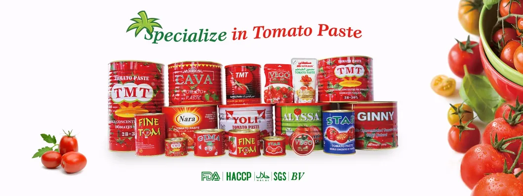 Canned Tomato Paste All Specifications OEM Brands 70g