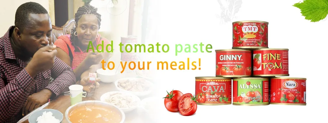 Canned Tomato Paste All Specifications OEM Brands 70g