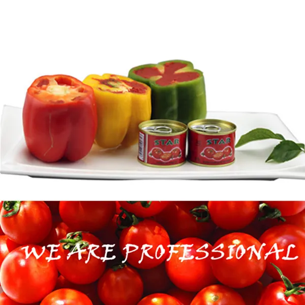 Canned Tomato Paste All Specifications OEM Brands 70g