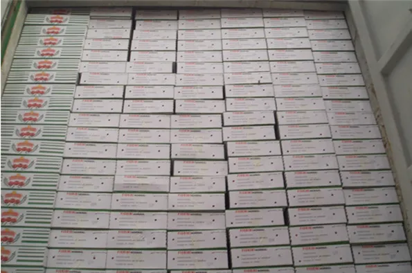 Canned Tomato Paste All Specifications OEM Brands 70g