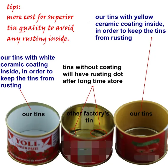 Canned Tomato Paste All Specifications OEM Brands 70g