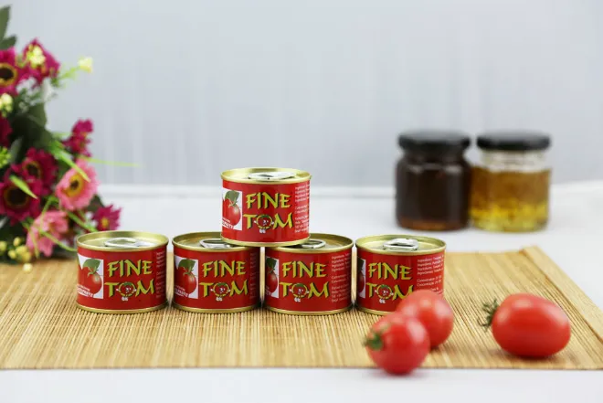 Canned Tomato Paste All Specifications OEM Brands 70g