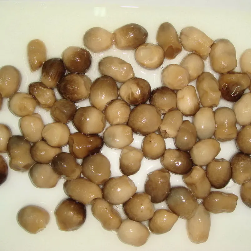Cheap Price 2840g Canned Mushroom Whole with Private Label