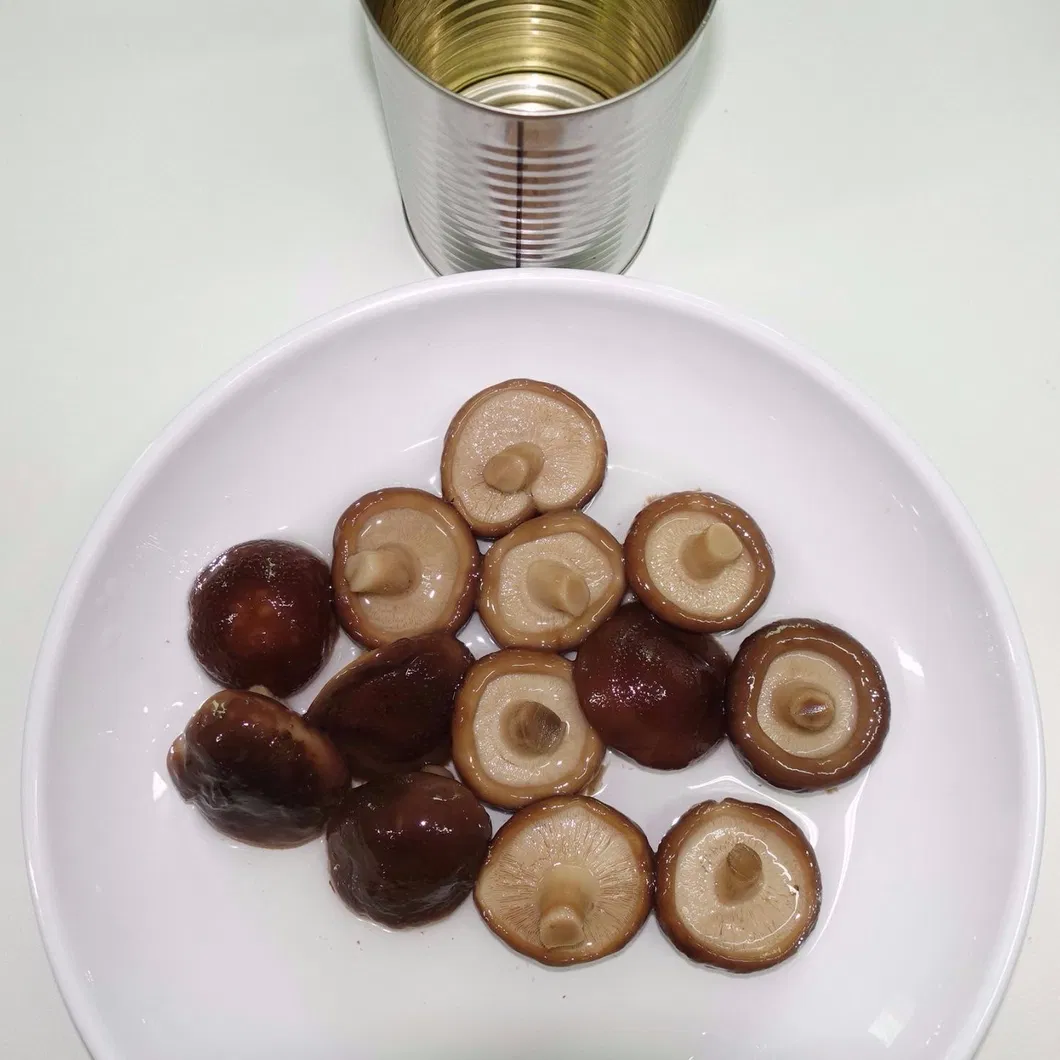 Cheap Price 2840g Canned Mushroom Whole with Private Label