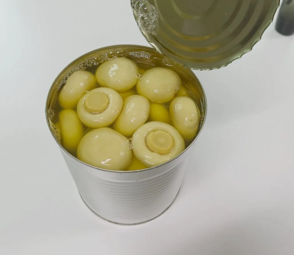 Cheap Price 2840g Canned Mushroom Whole with Private Label