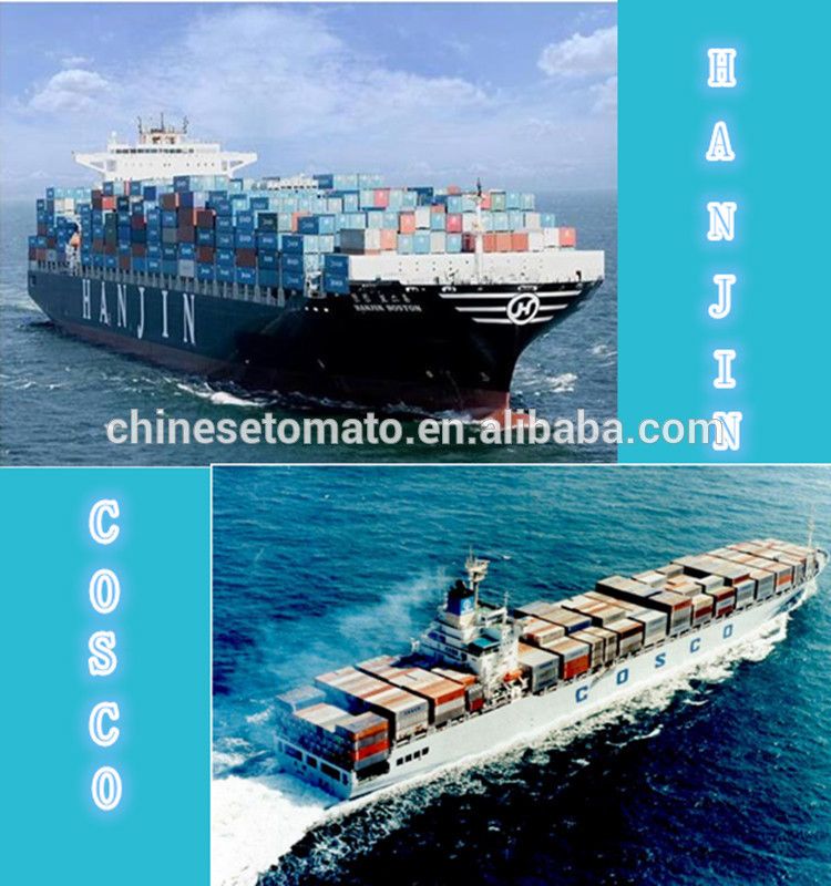 Cheap Price Tomato Paste Sebo Brand Tomato Paste