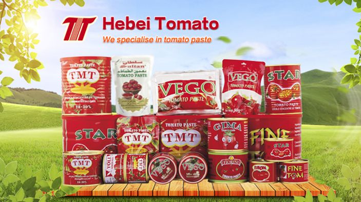 Cheap Price Tomato Paste Sebo Brand Tomato Paste