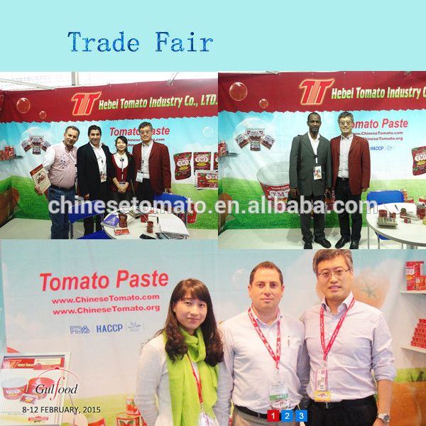 Cheap Price Tomato Paste Sebo Brand Tomato Paste
