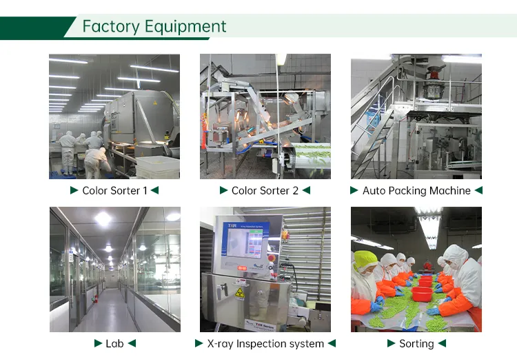 China Frozen Cleaned Gutted Scaled Tilapia Manufacture Niloticus Frozen Fish Seafood Black Tilapia