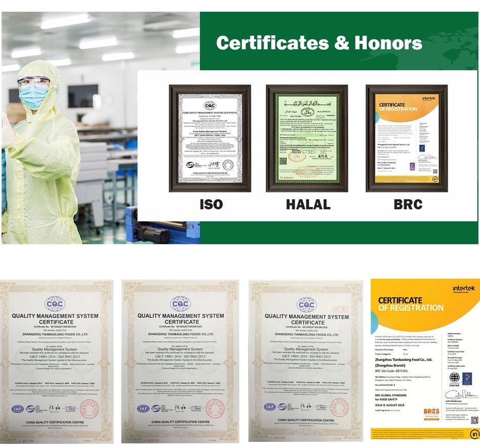 China Greencan Factory Canned Mushroom Whole 2840g with Premium Quality