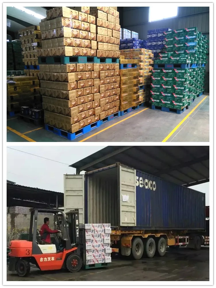 China Non Alcoholic Wholesale 500ml Beer Price for Sale