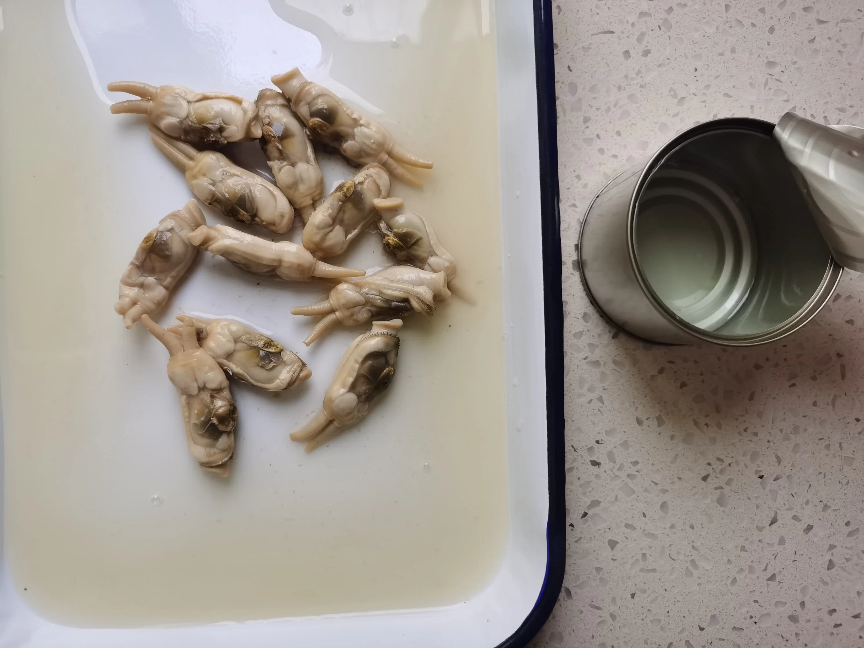 Chinese Bum Dumpling Ingredient Seafood Razor Blade Clam in Canned for Whole Sale