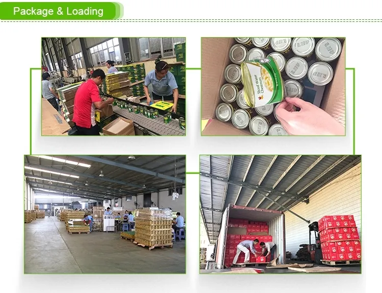 Chinese Bum Dumpling Ingredient Seafood Razor Blade Clam in Canned for Whole Sale