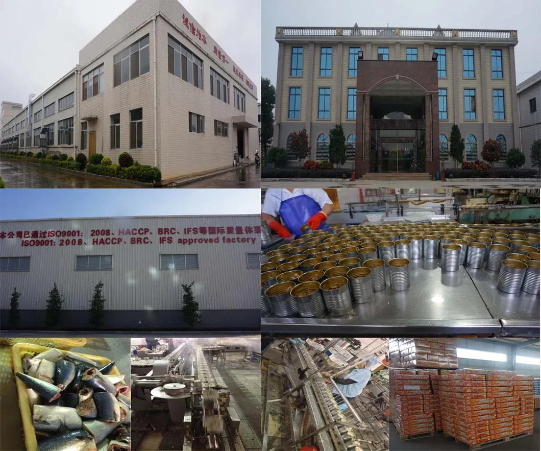 Chinese Bum Dumpling Ingredient Seafood Razor Blade Clam in Canned for Whole Sale