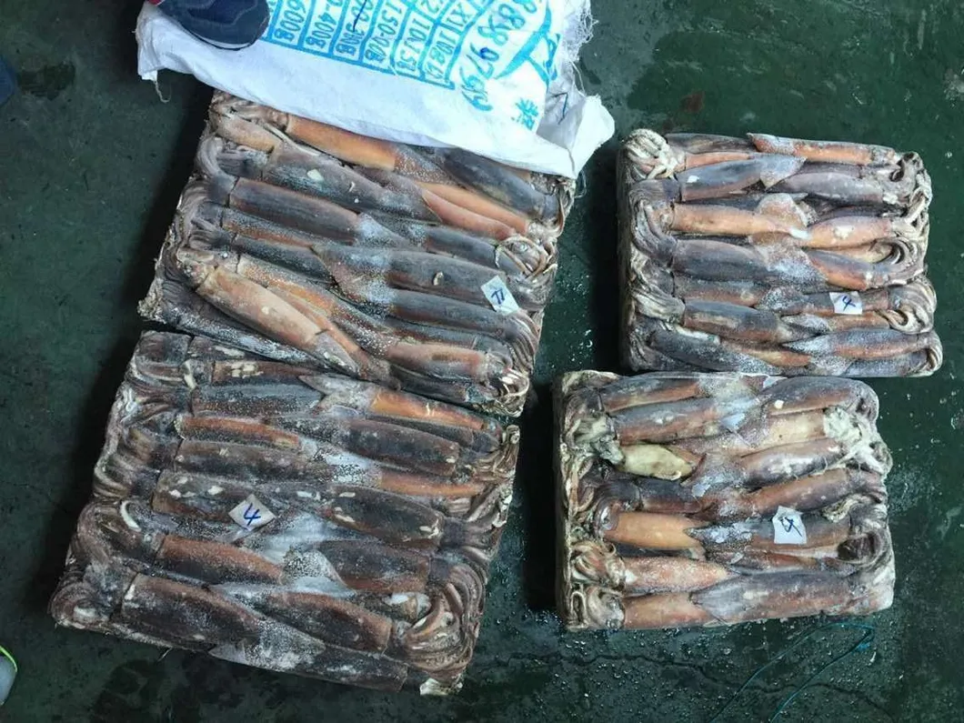 Chinese Catching Squid From Argentine Sea Area