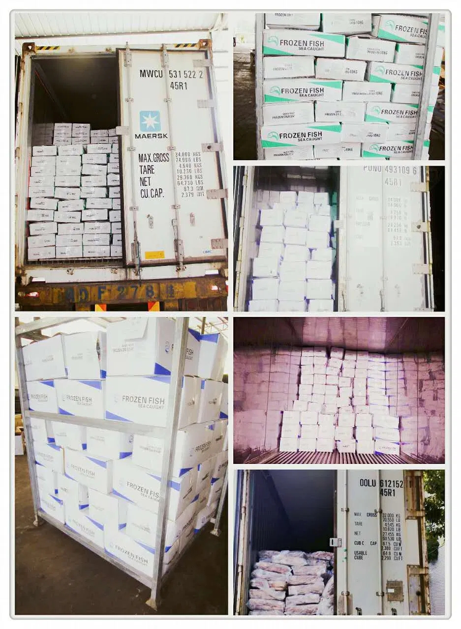 Chinese Manufacturer 100-150g Frozen Moonfish