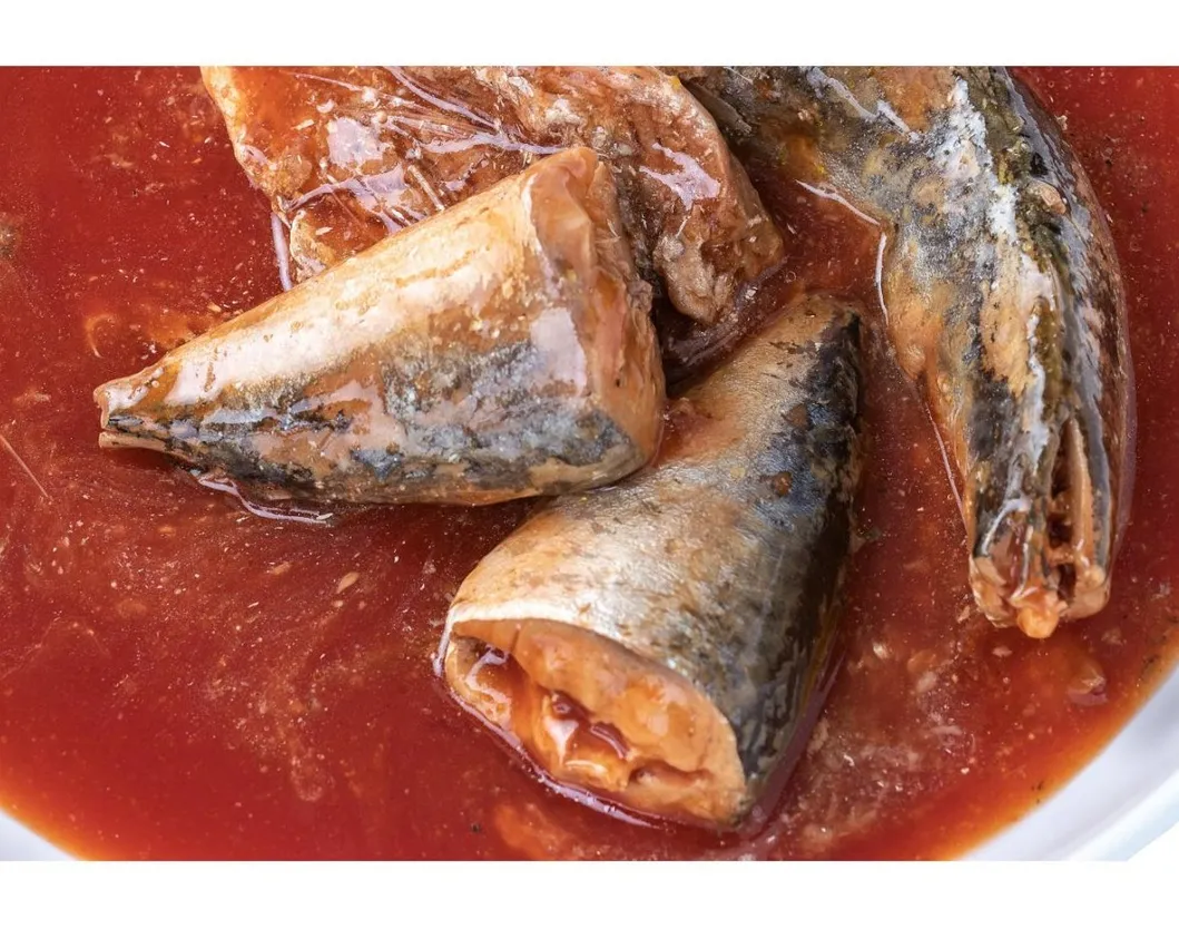 Customized Brand Pilchards Fish in Tomato Sauce/ Sardine Canned in Oil 155g