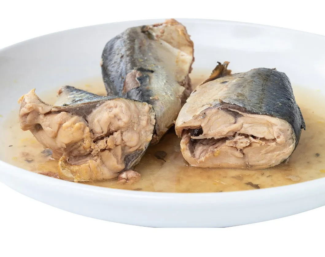 Customized Brand Pilchards Fish in Tomato Sauce/ Sardine Canned in Oil 155g