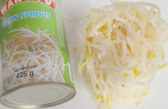 Delicious 314ml Canned Bean Sprout with Top Quality