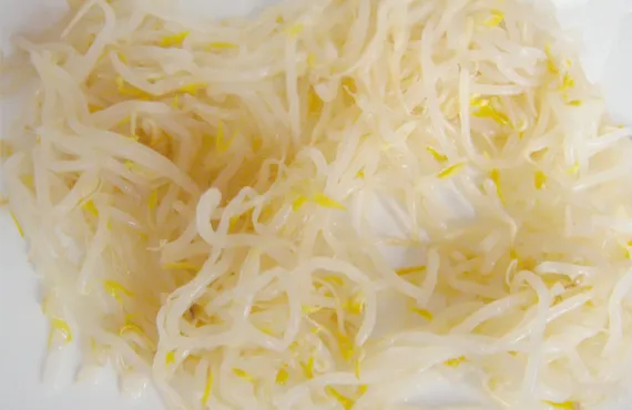 Delicious 314ml Canned Bean Sprout with Top Quality