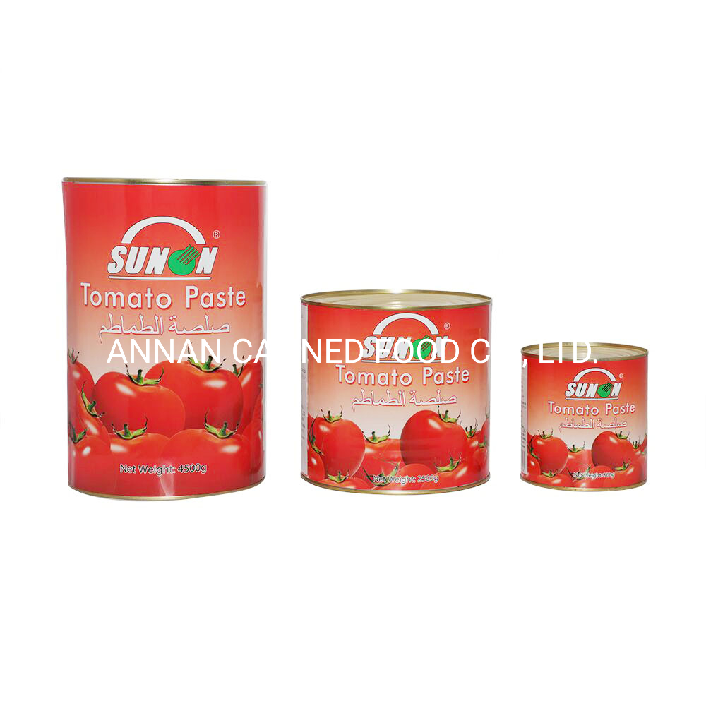 Delicious Soup Tomato Paste Sachet 22-24% 24-26% Brix