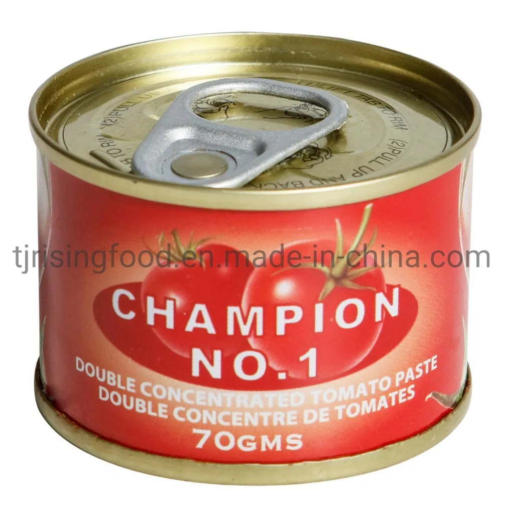Double Concentrated Hot Sale Canned Tomato Paste 70 Gms for Africa