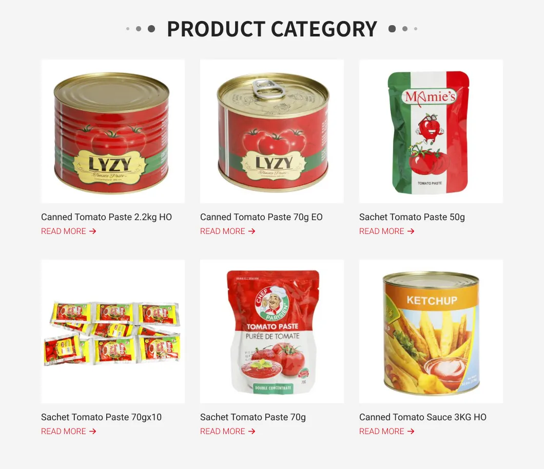 Double Concentrated Hot Sale Canned Tomato Paste 70 Gms for Africa