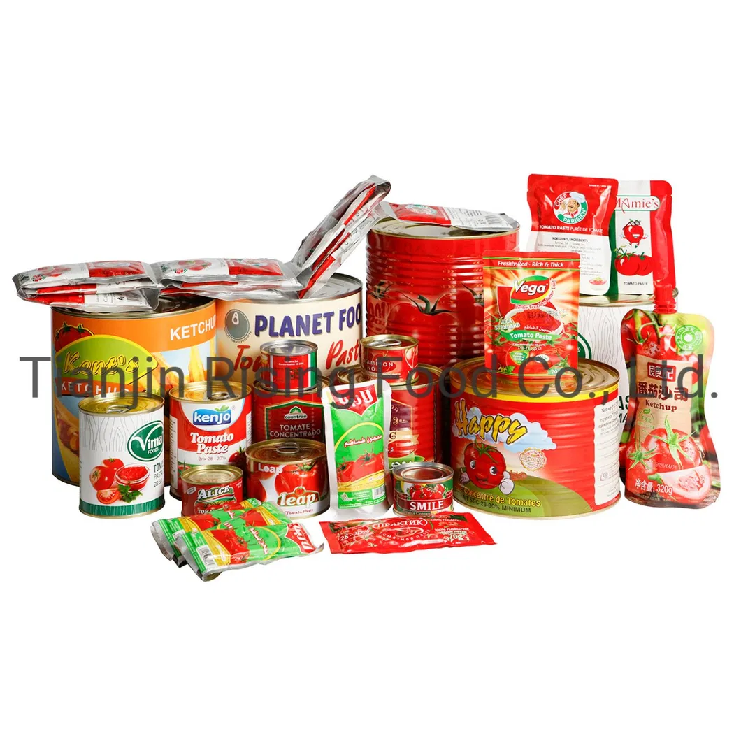 Double Concentrated Hot Sale Canned Tomato Paste 70 Gms for Africa