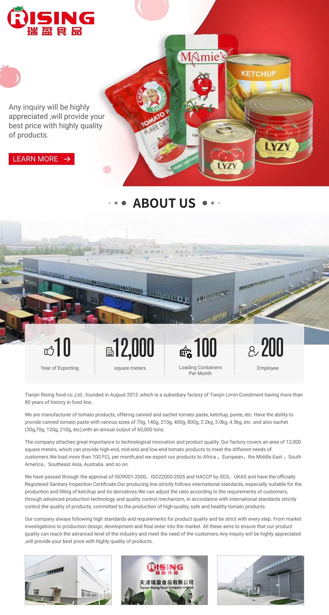 Double Concentrated Hot Sale Canned Tomato Paste 70 Gms for Africa