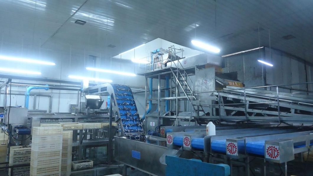 Factory Directly Top Quality Flexible Tuna Pouch Canned 10X1000g, 20X500g