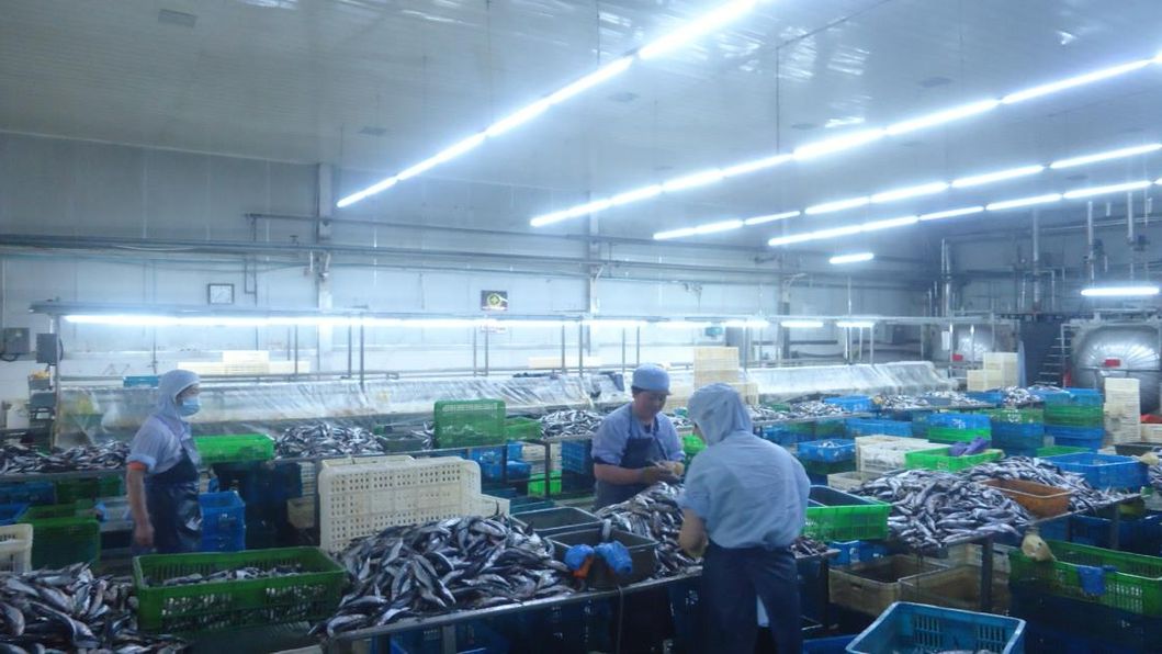 Factory Directly Top Quality Flexible Tuna Pouch Canned 10X1000g, 20X500g