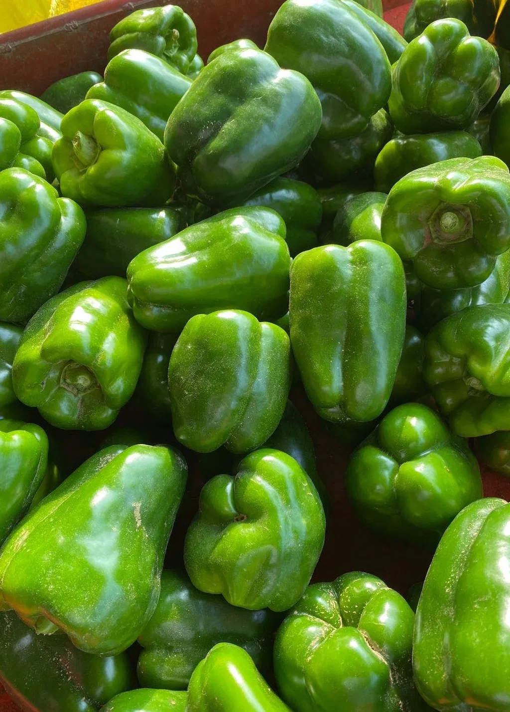 Factory for IQF Frozen Green Capsicum Strips From China Brc a Factory