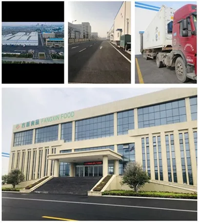 Factory for IQF Frozen Green Capsicum Strips From China Brc a Factory