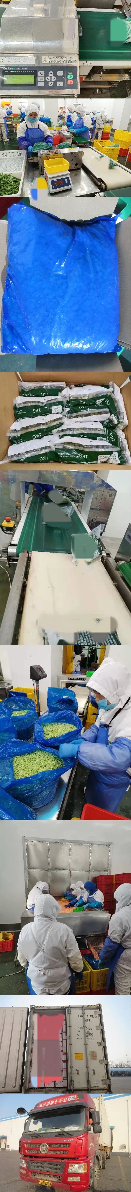 Factory for IQF Frozen Green Capsicum Strips From China Brc a Factory