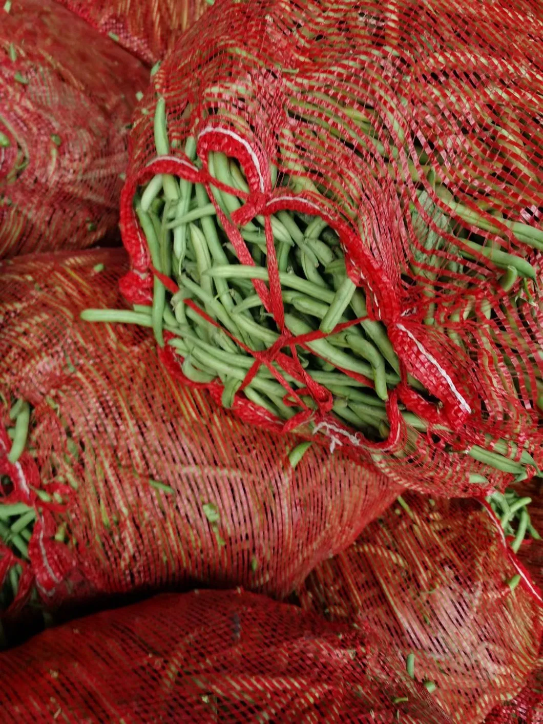 Factory of Frozen Vegetables and Fruits, Frozen Green Beans Cuts, Mixed Vegetables, Froze Food, 2-4cm and 3-5cm, Dia8-10mm