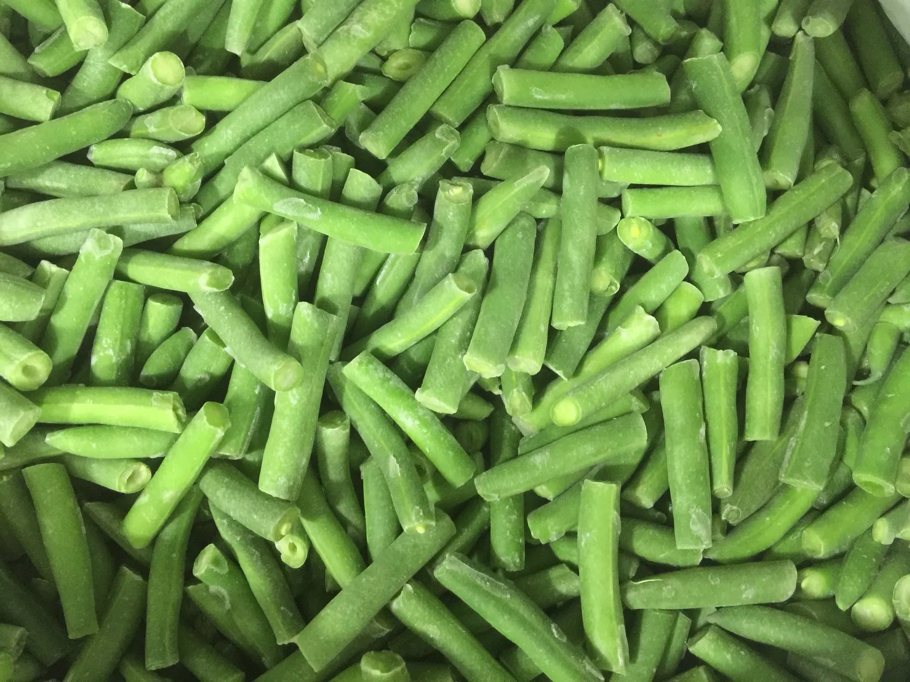 Factory of Frozen Vegetables and Fruits, Frozen Green Beans Cuts, Mixed Vegetables, Froze Food, 2-4cm and 3-5cm, Dia8-10mm