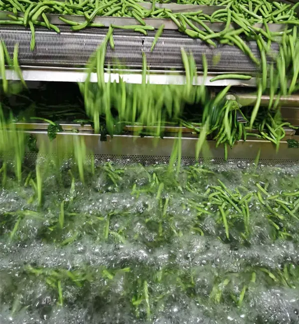 Factory of Frozen Vegetables and Fruits, Frozen Green Beans Cuts, Mixed Vegetables, Froze Food, 2-4cm and 3-5cm, Dia8-10mm