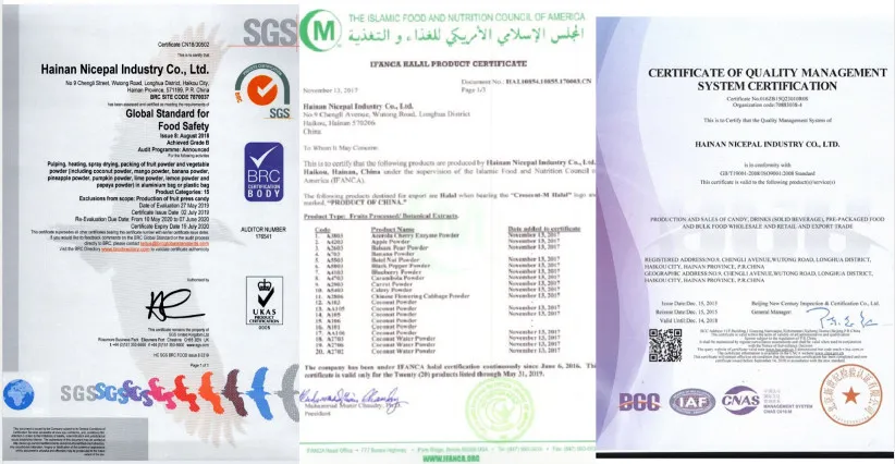 Factory Supply Good Water Soluble Dried Fruit Powder Passion Fruit Juice Powder