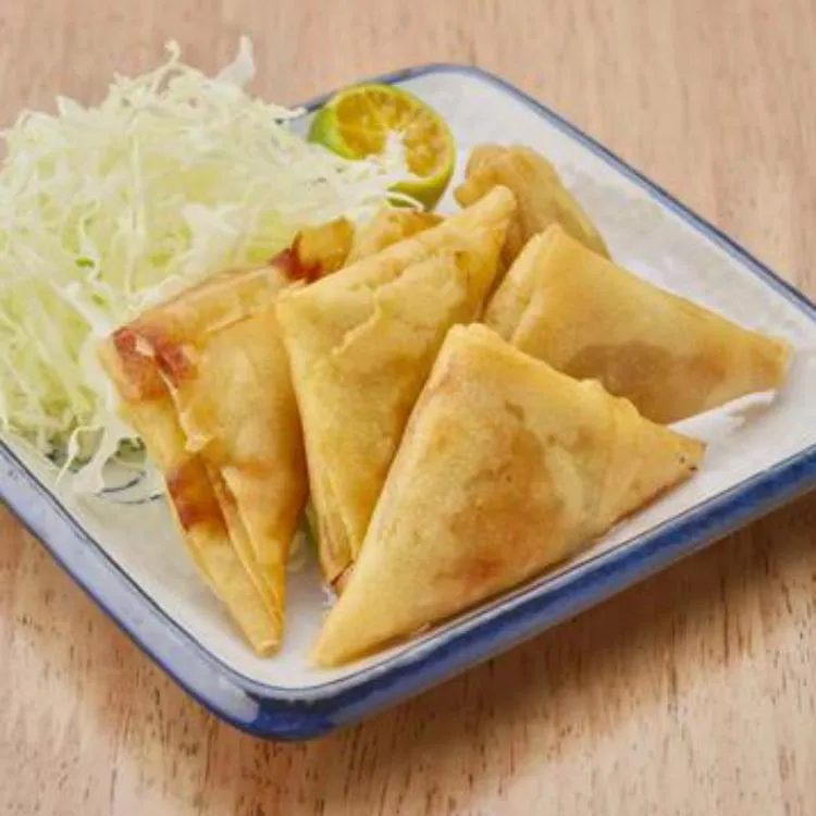 Festival Certified Factory Frozen Samosa