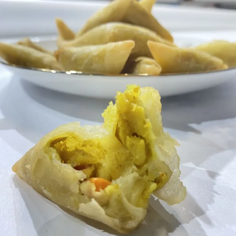 Festival Certified Factory Frozen Samosa