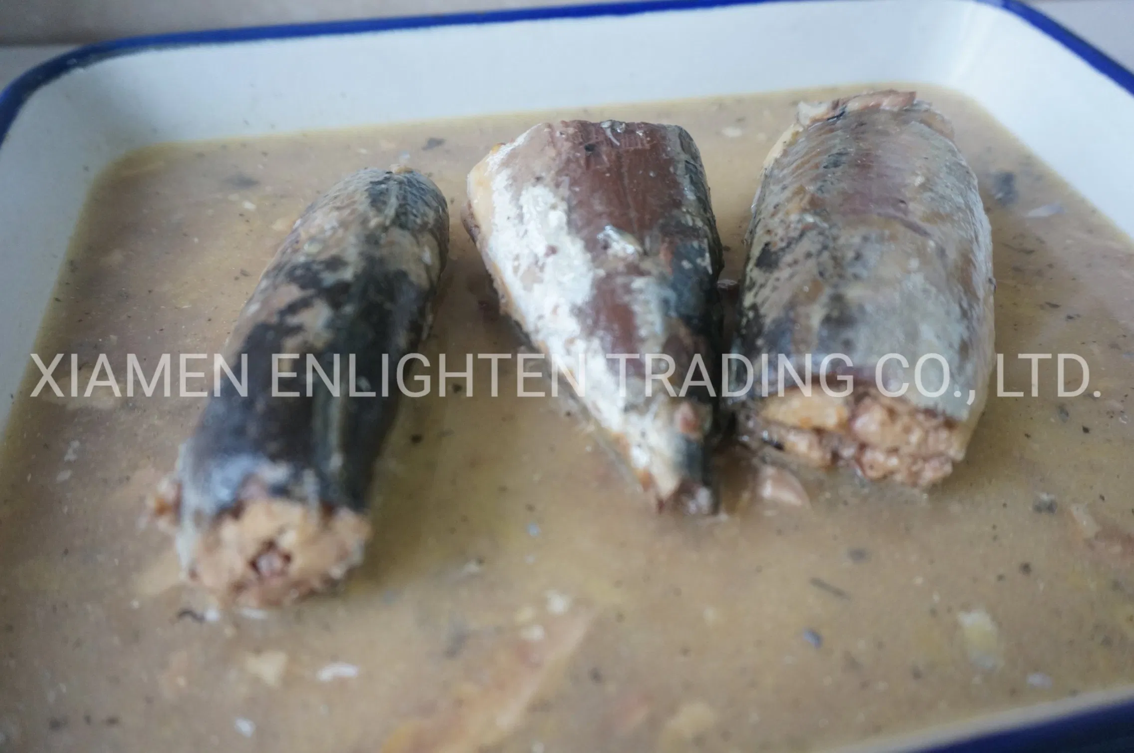 Fresh and Deliciou Canned Mackerel in Brine