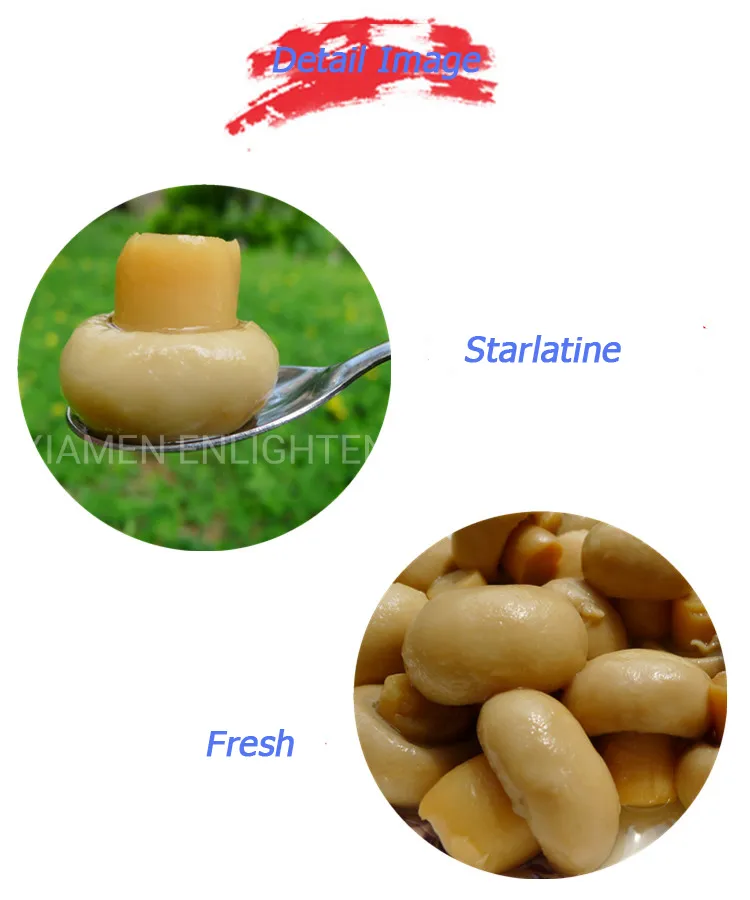 Fresh and Flavor Canned Champignon Mushroom Whole