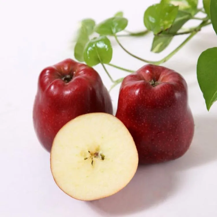 Fresh Fruits Red Mature Huaniu Appe