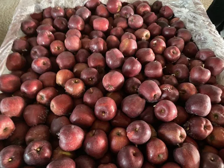 Fresh Fruits Red Mature Huaniu Appe